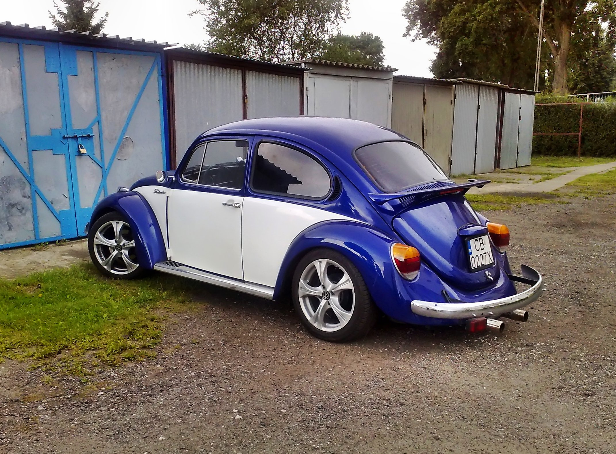 Tuned Beetle