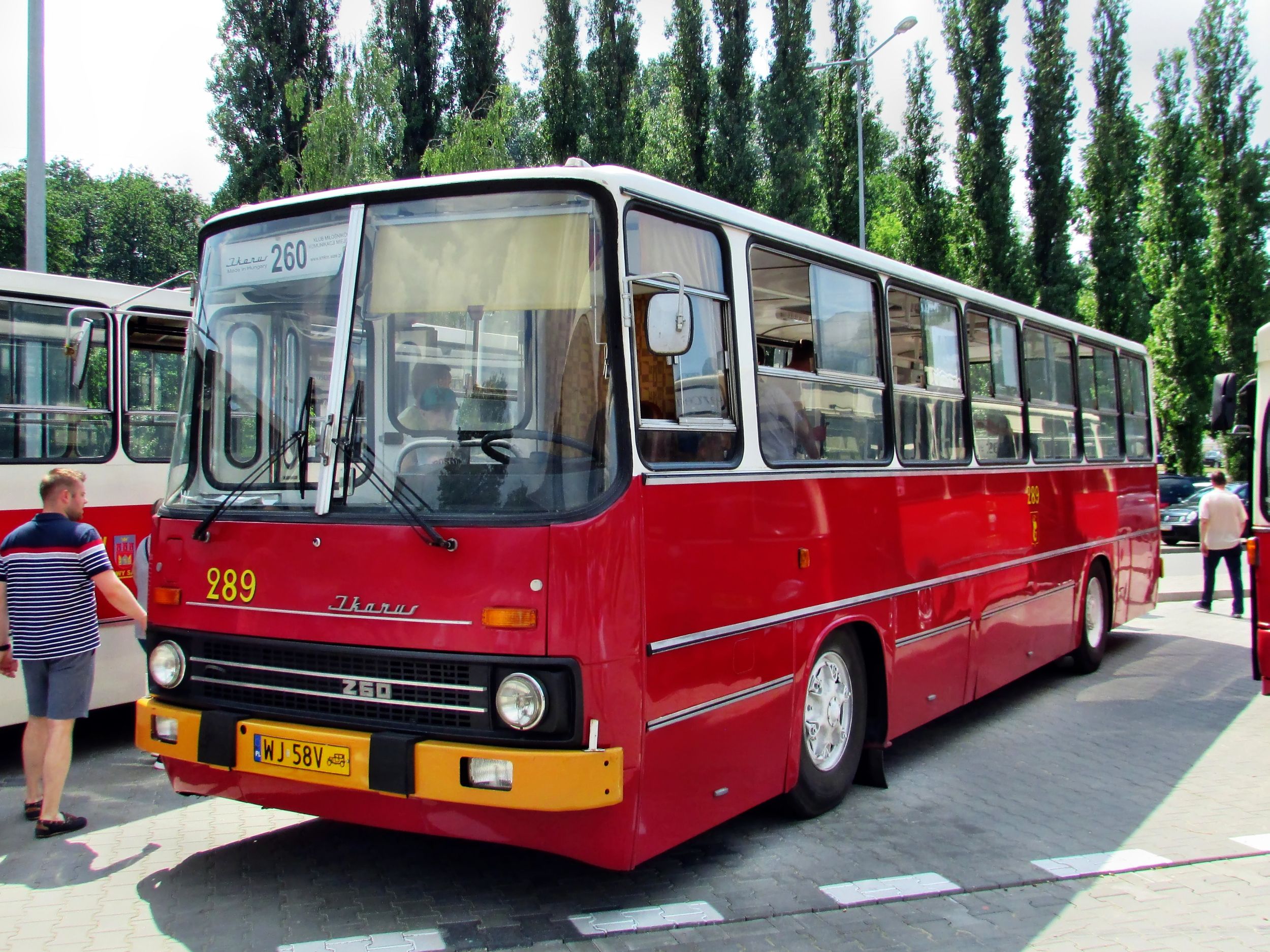 Ikarus 260