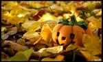 In autumn by Fructy