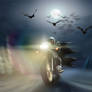 Night Rider 2