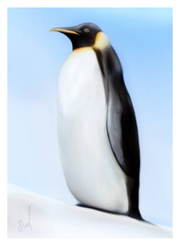 Penguin