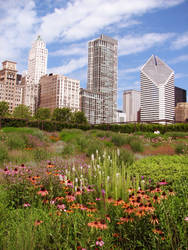 Chicago from the Gardens