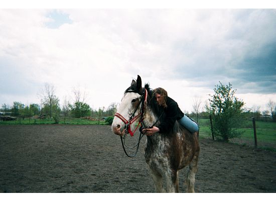 Clydesdale Hug