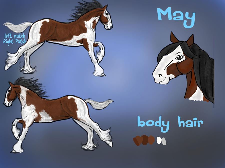 May character sheet by ArtisinmyHeart on DeviantArt