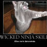 Wicked Ninja Skills