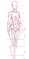 Very, very basic anatomy