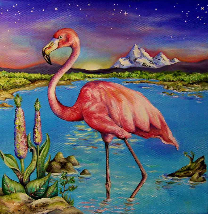 Lone Flamingo