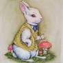 White Rabbit