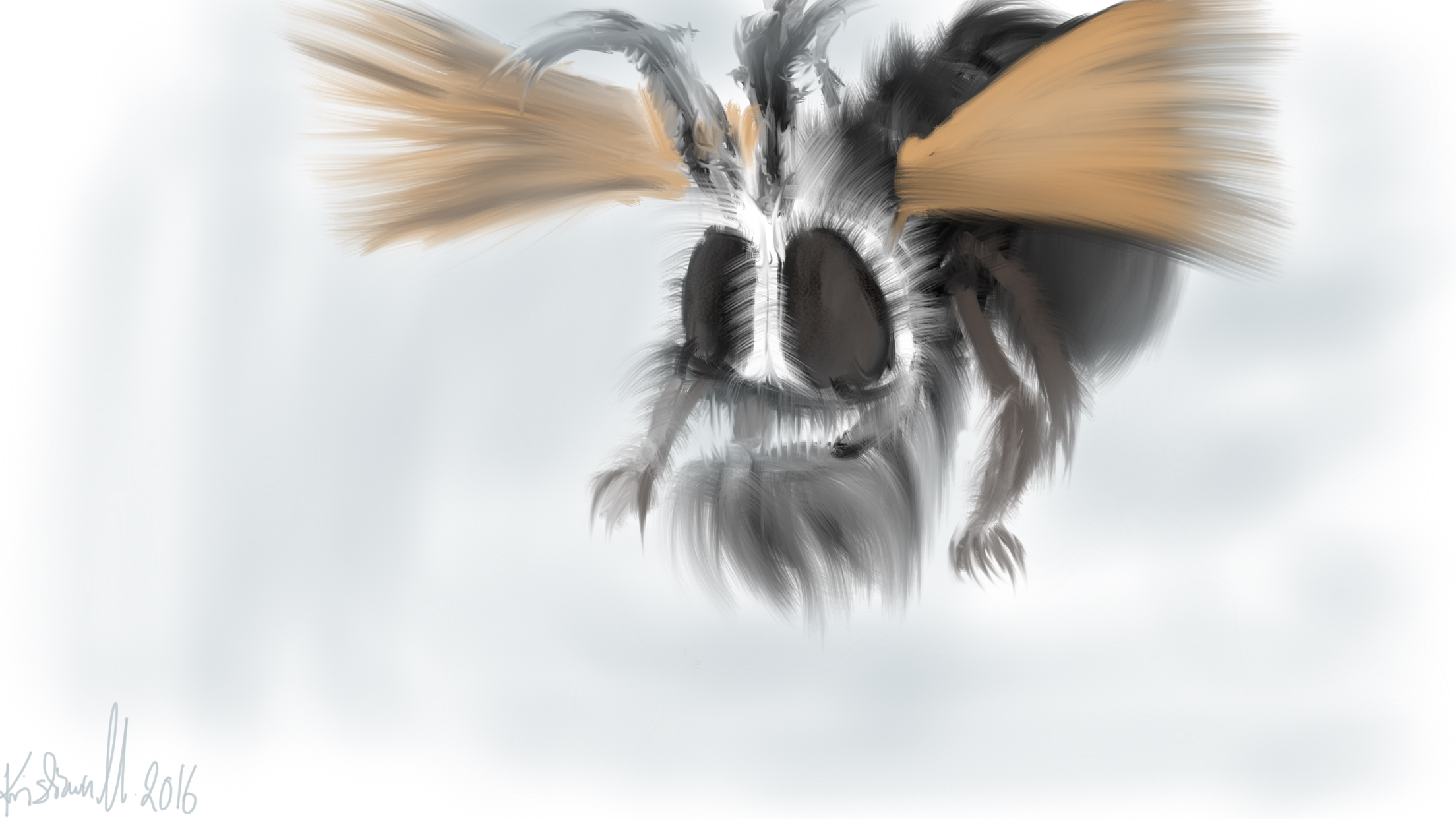 Fly Bug Deviantart Flying insect by Krillla on DeviantArt