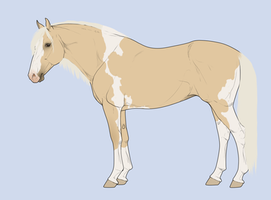 Horse adoptable, random owner -AND THE WINNER IS..