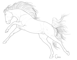 Free horse lineart