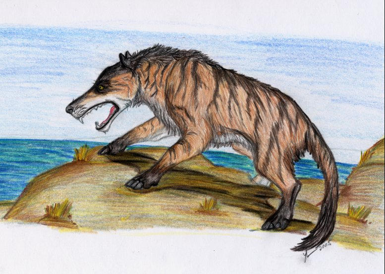 Andrewsarchus by thylobscene on DeviantArt
