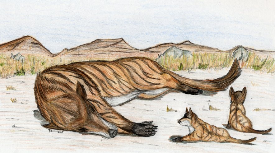 Sleeping Andrewsarchus mother