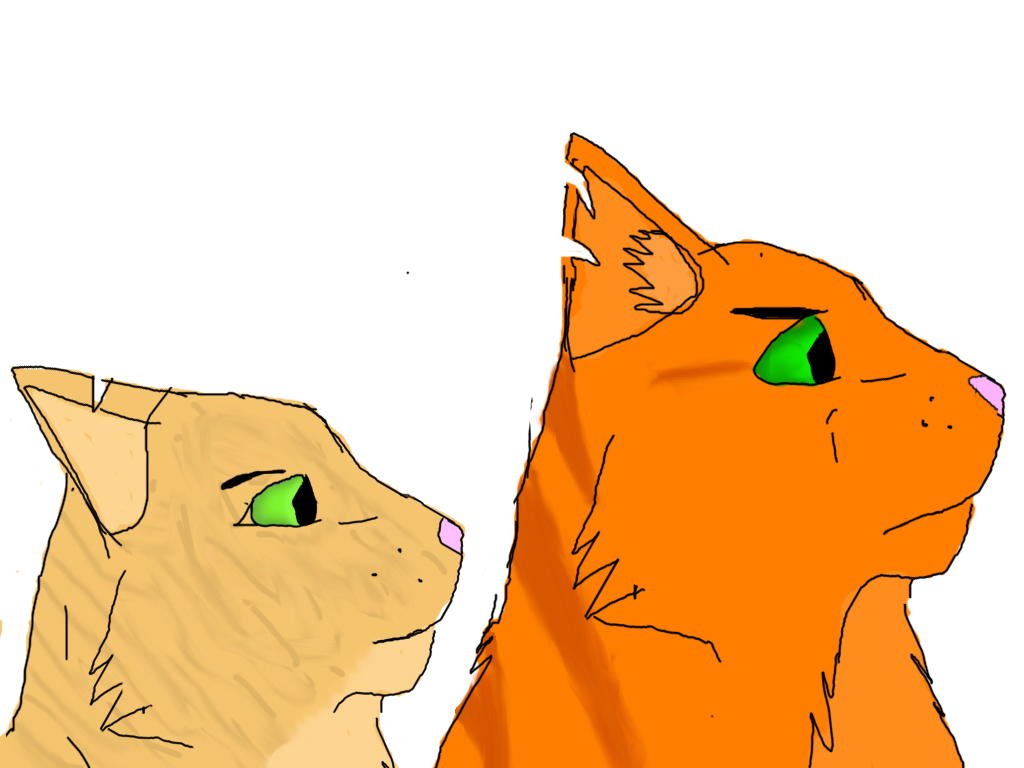 Firestar And Sandstorm By SandstormTheNerd On DeviantArt firestar-and-sandstorm-by-sandstormthenerd-on-deviantart