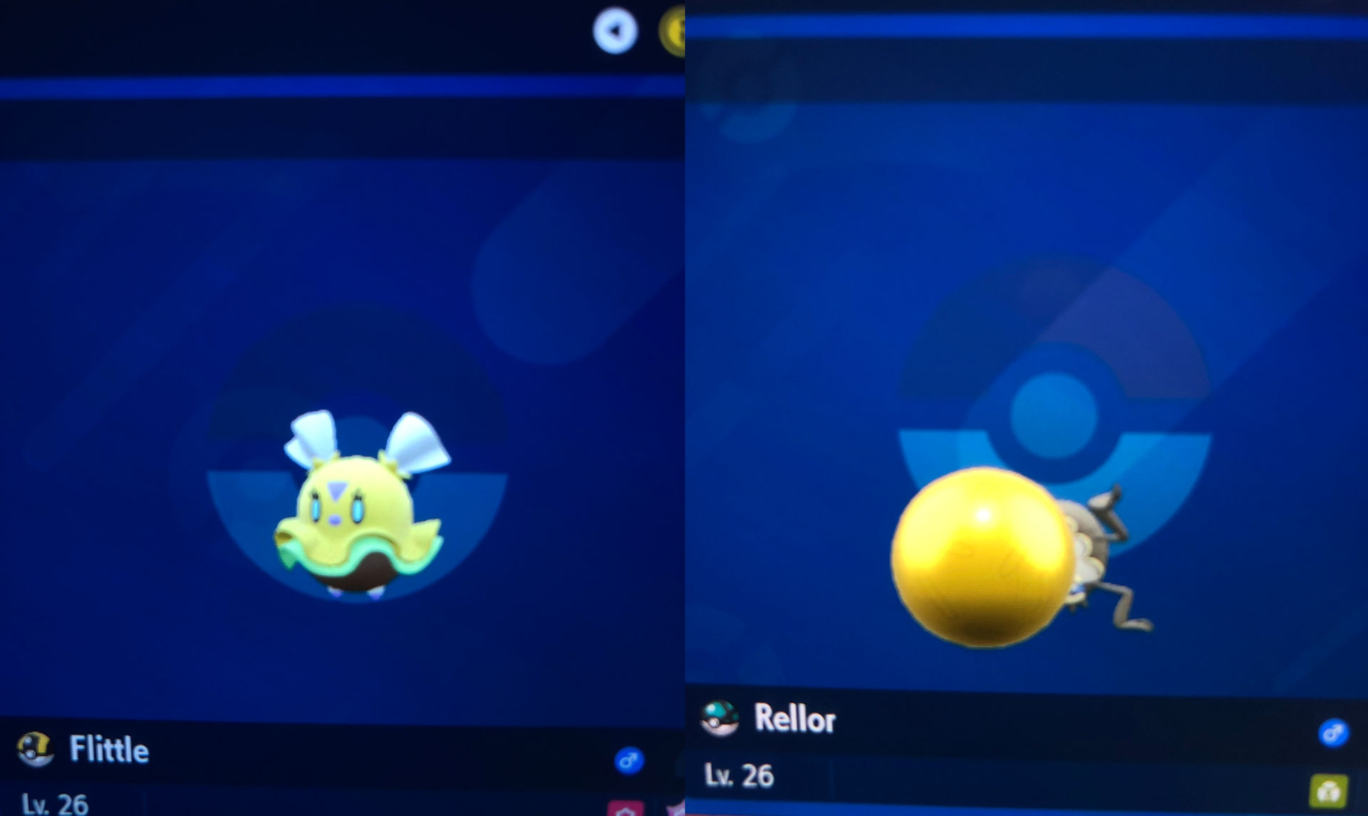 Shiny flittle and rellor by LadyFeliz on DeviantArt