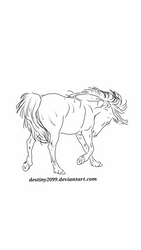 Horse Lineart