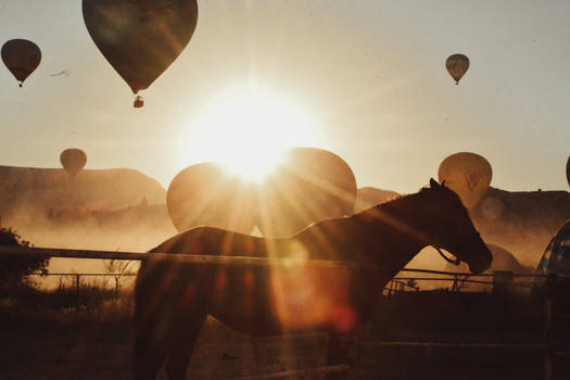 a dreaming morning