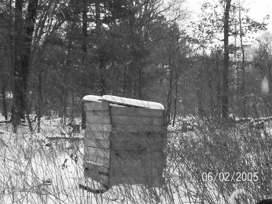 snow ridded by XkatieKatastropheXD on DeviantArt