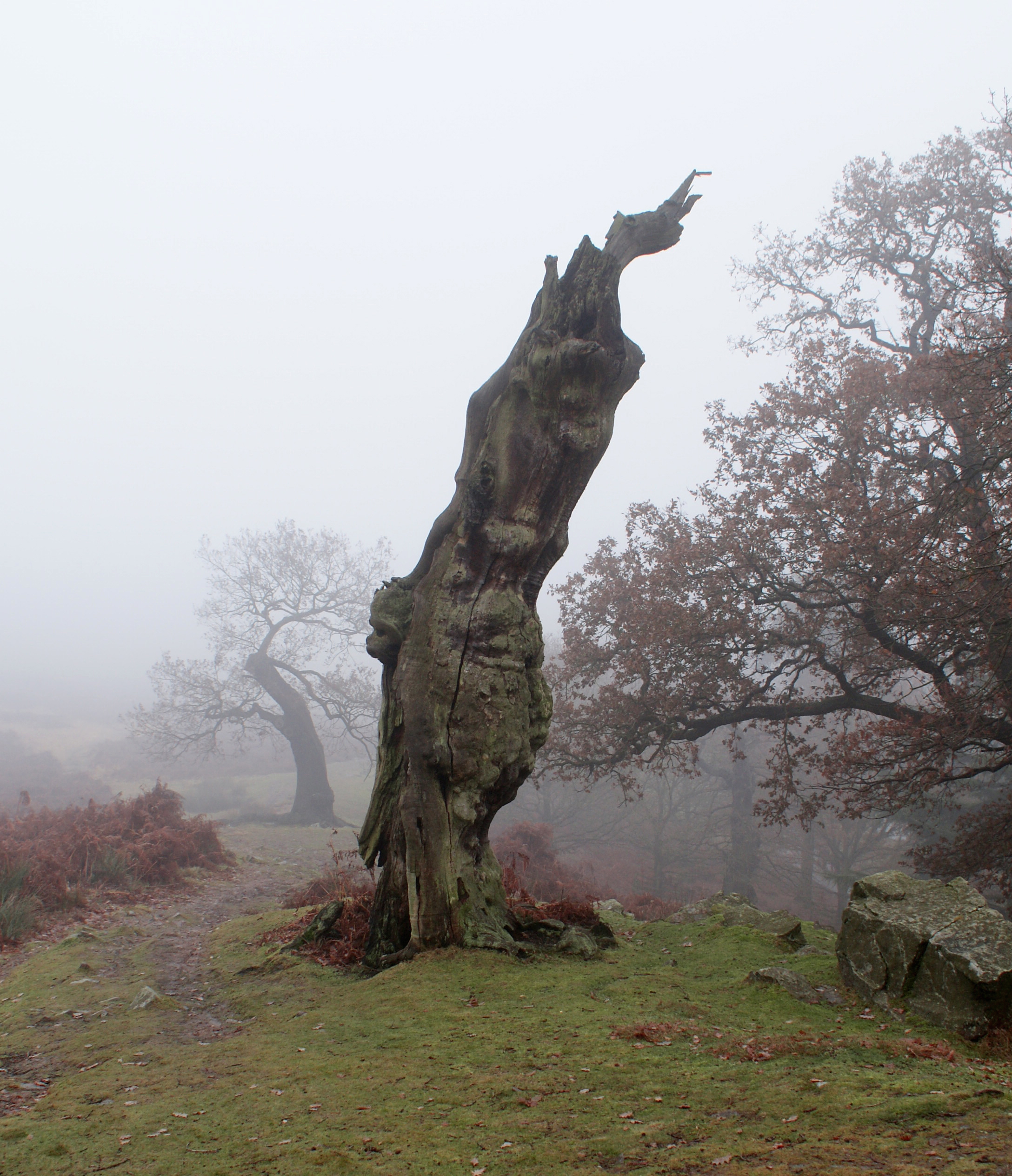 Alone, Atop A Hill