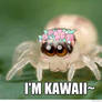 Kawaii Spider