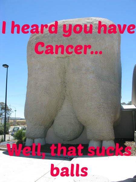 Big Merino Cancer