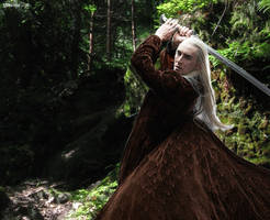 Thranduil - warrior in the woods