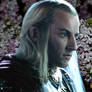 Haldir of Lorien