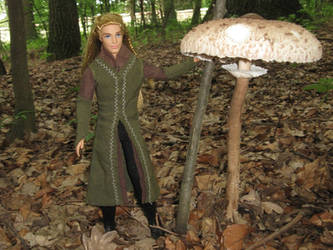Legolas and the parasol mushroom by Menkhar