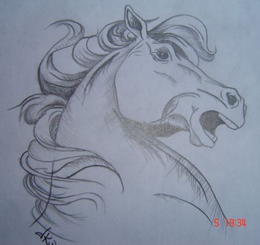 horse