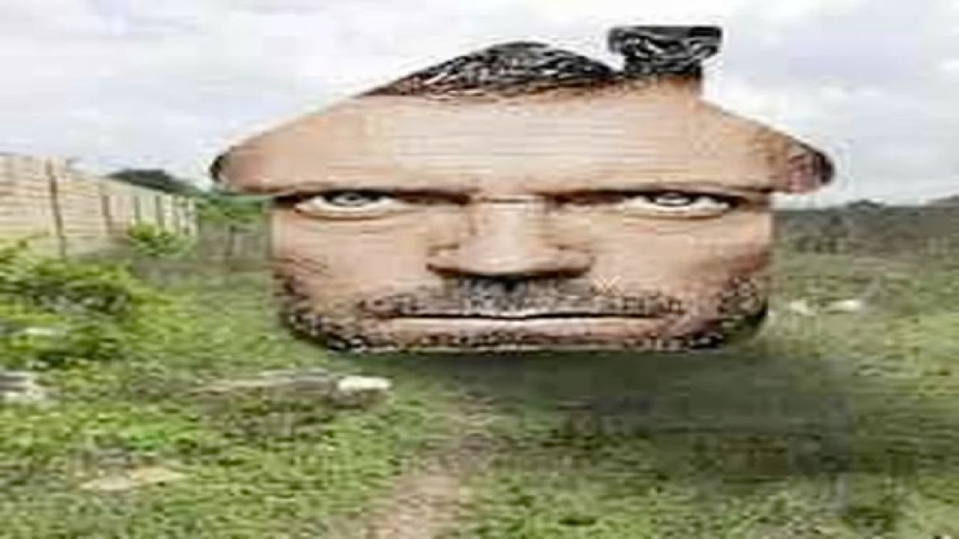 Hous