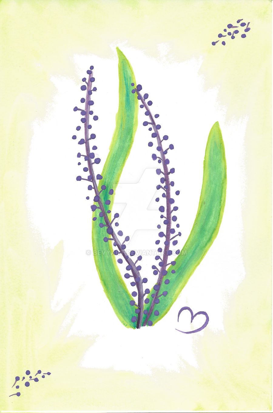 Botanical Print Lavender thing