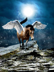 All Horses Come From Heaven