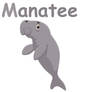 Manatee