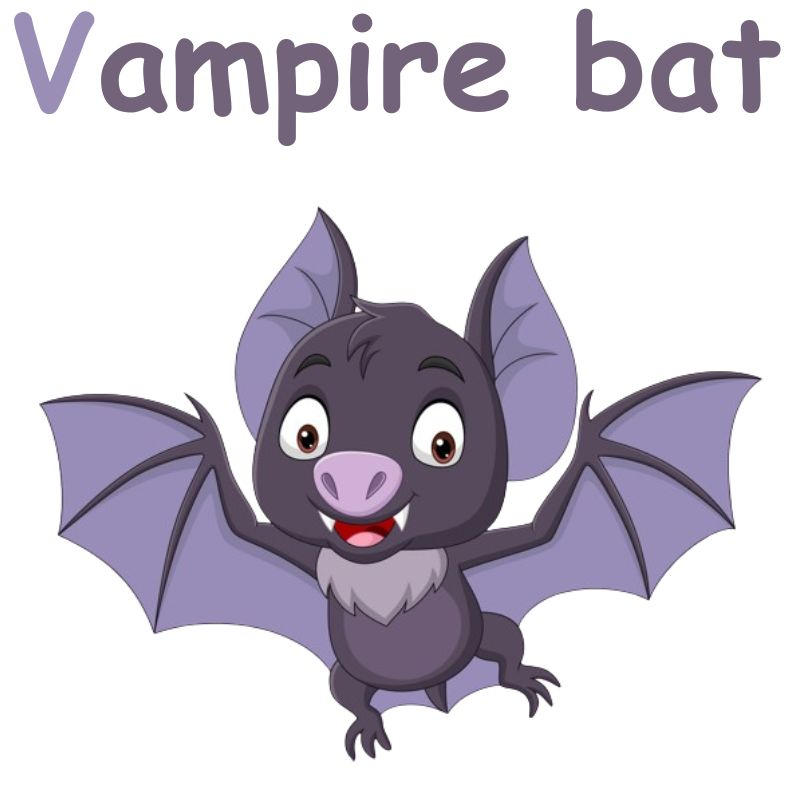 Vampire bat by YvetteColorsky on DeviantArt