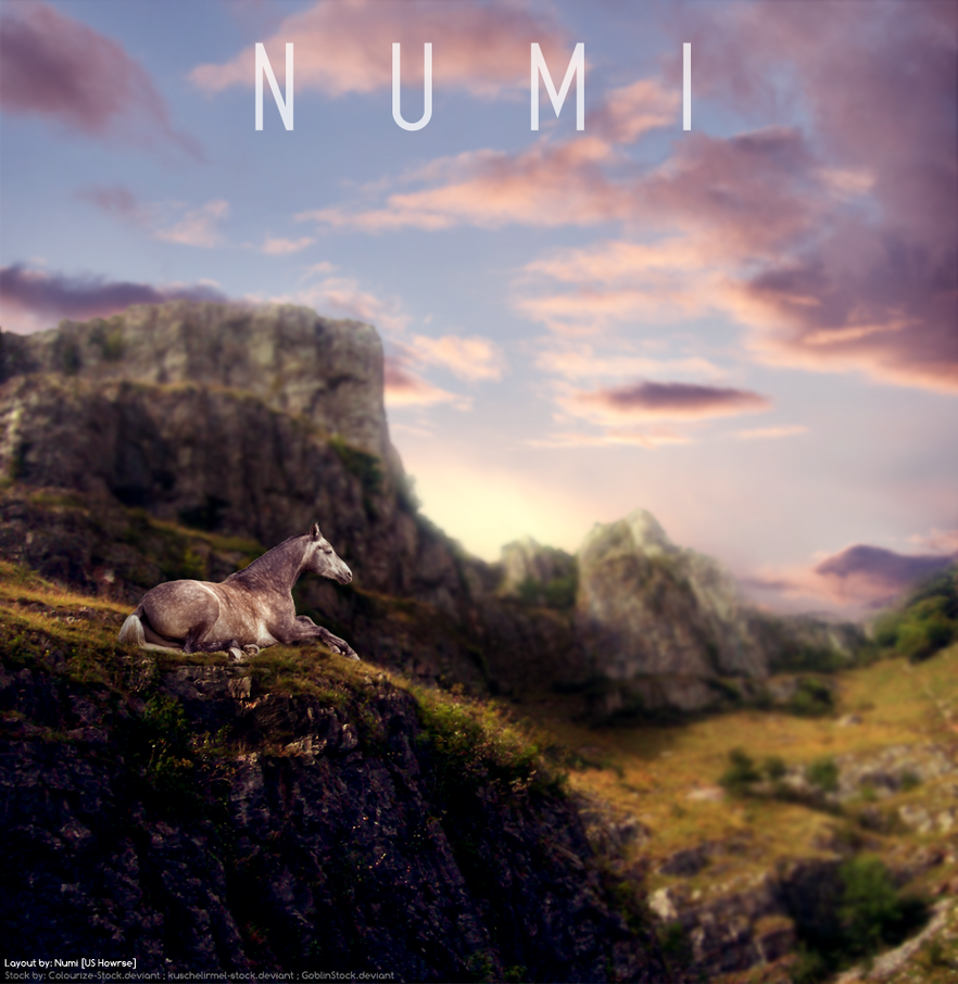 Relaxing Horse by Numinousx Relaxing Horse by Numinousx