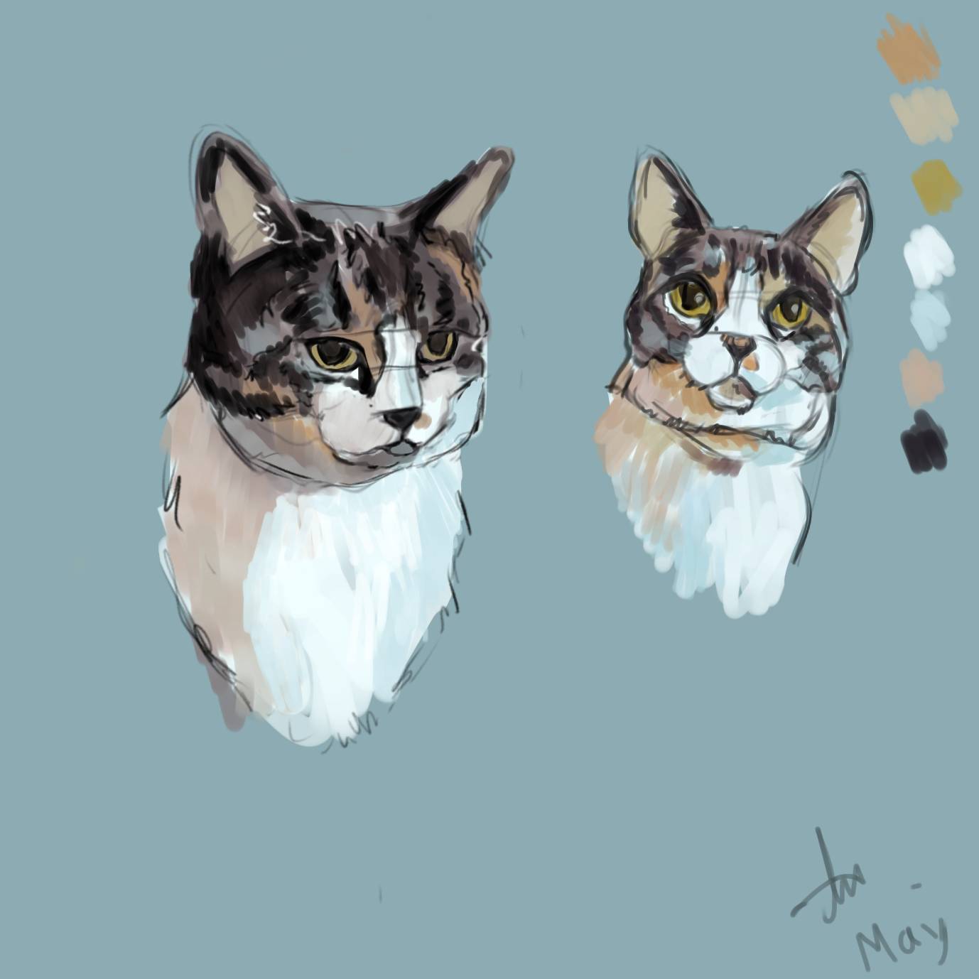 cat illustration sketch by LeavesBeforeWinter on DeviantArt
