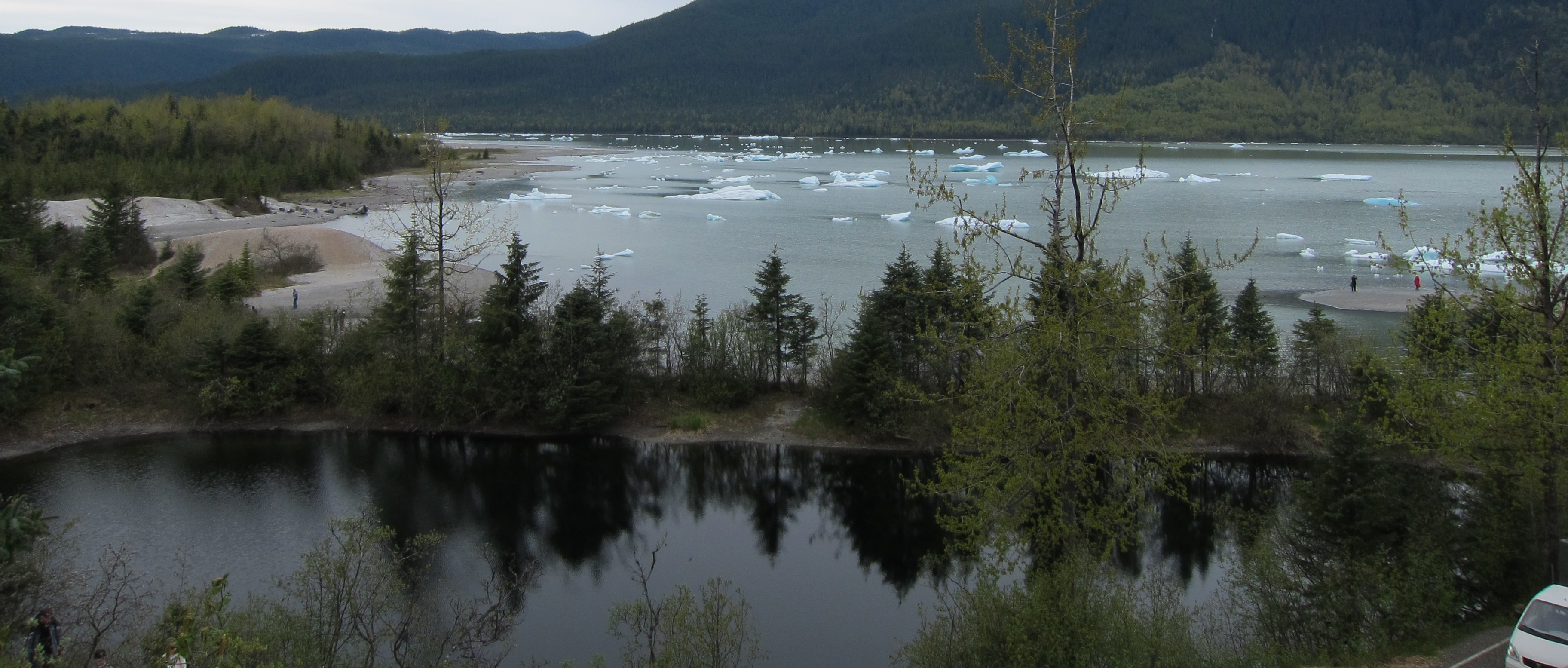 Mendenhall Lake