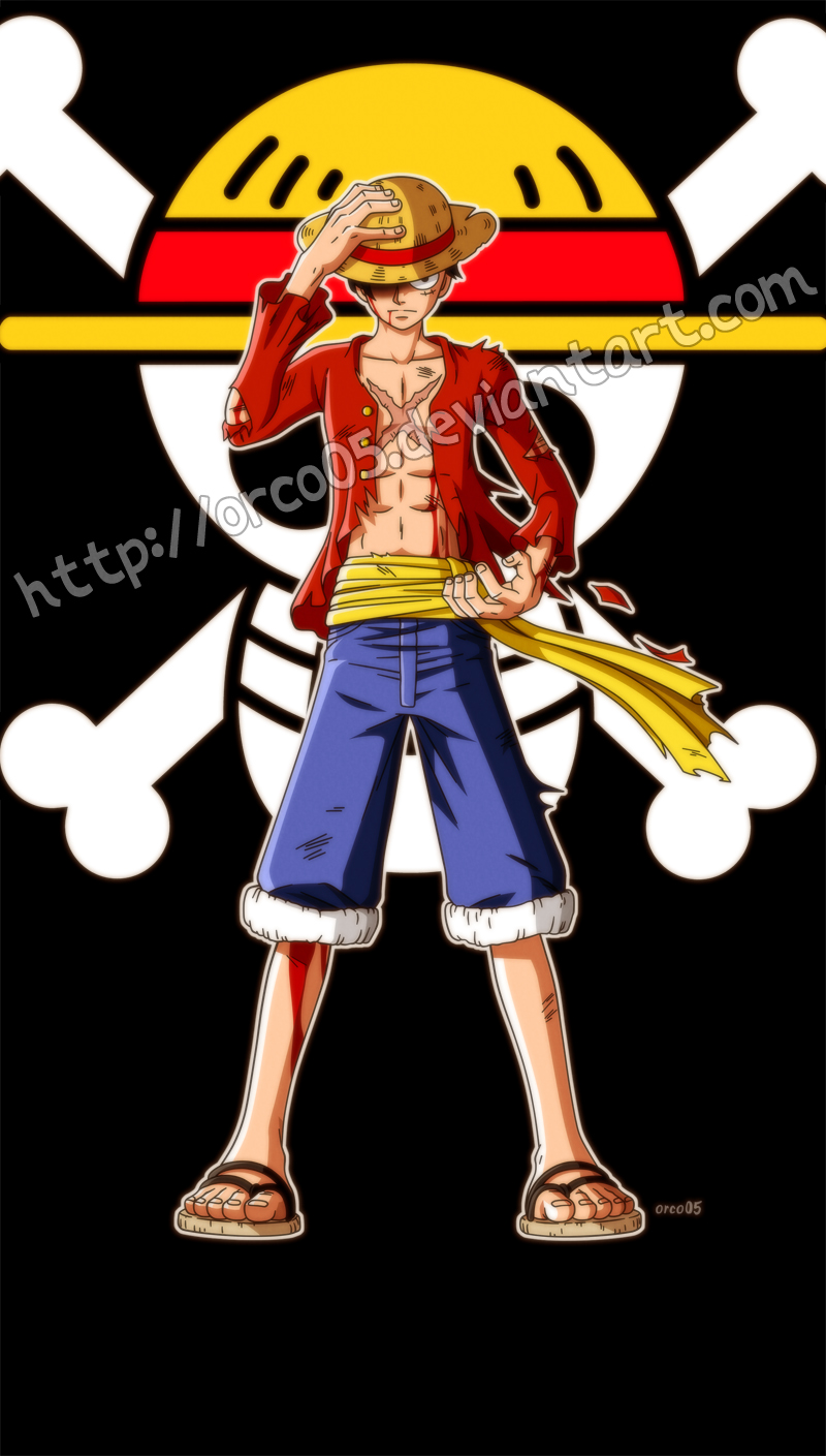 Monkey D. Luffy - Battle Damaged