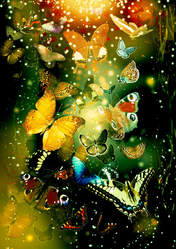 Butterflies
