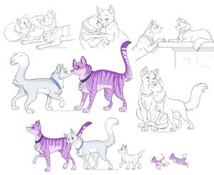 Purple cats