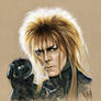 Jareth