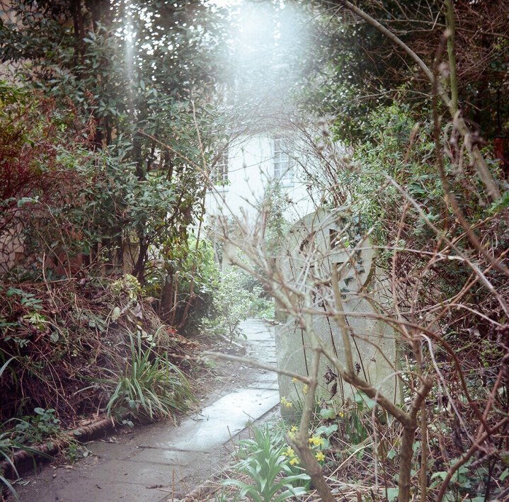 Overgrown Cemetary