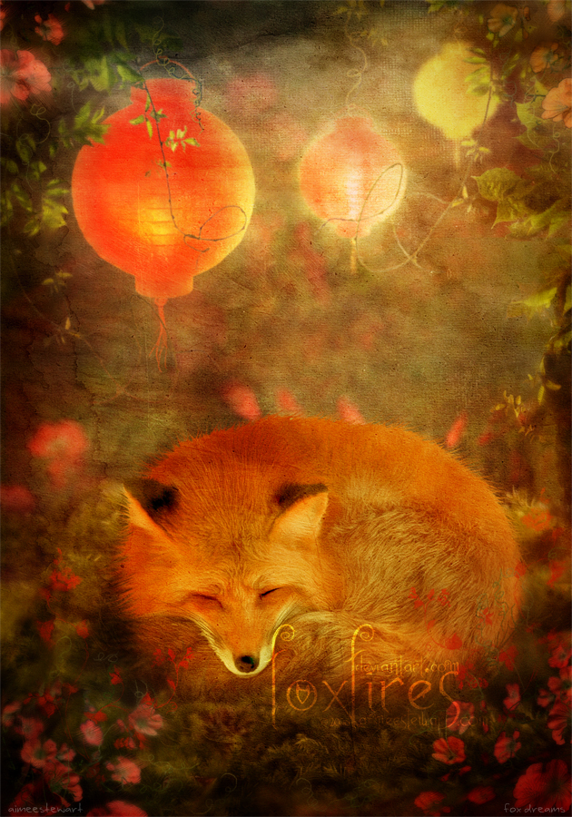 Fox Dreams