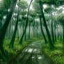 Deep Forest
