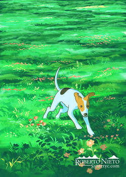 My dog Pipa in Ghibli-Style