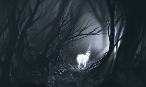 ghost of the forest