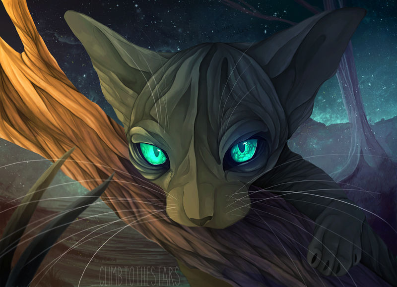Space Cat - AP by ClimbToTheStars on DeviantArt