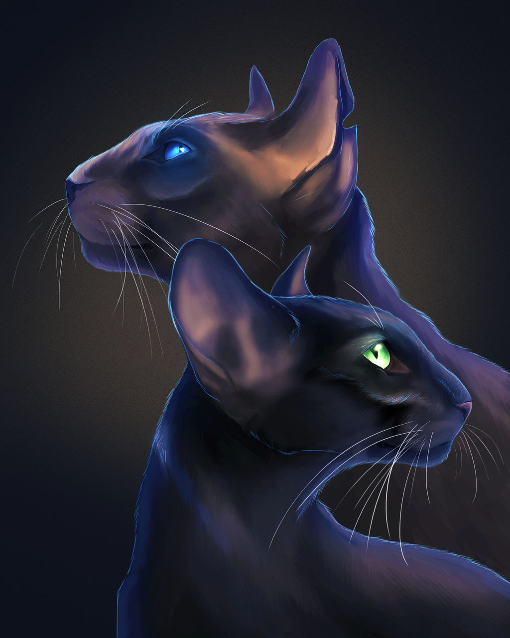 Ravenpaw and Barley by Graypillow  Warrior cat drawings, Warrior cats fan  art, Warrior cats