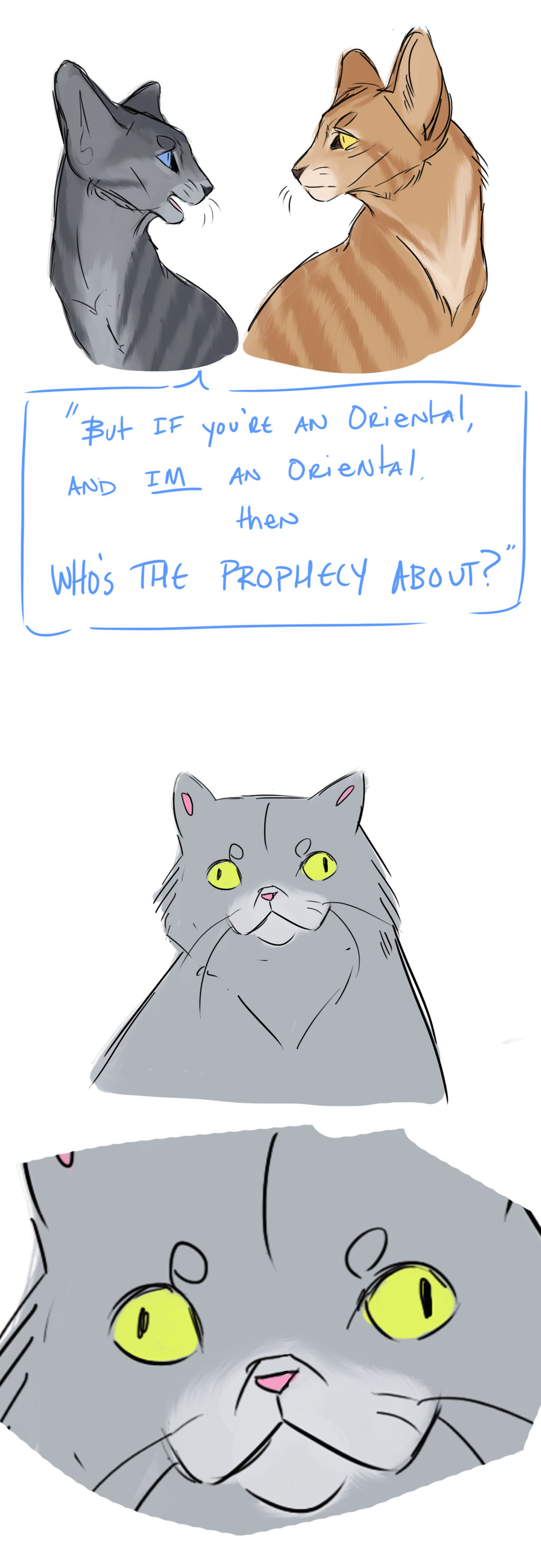 How To Get Exclusive Access On Adidas Confirmed?