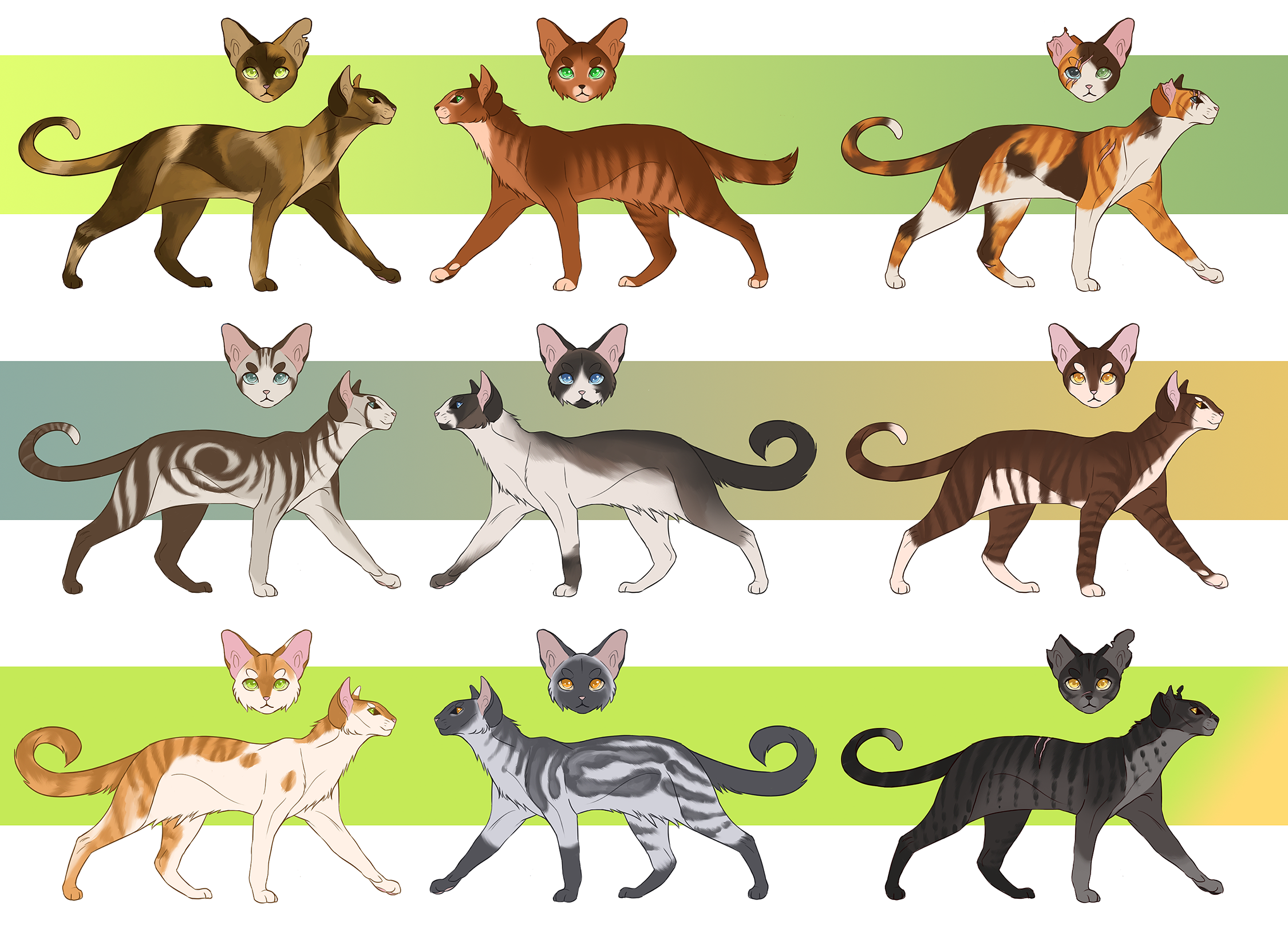 Cat Fur Patterns by Nixhil on DeviantArt